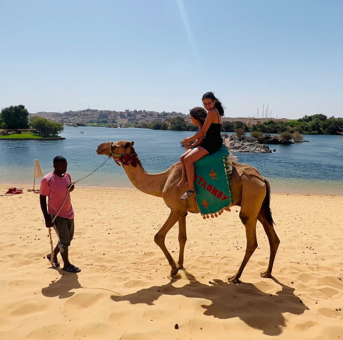 Aswan attractions — photo 5