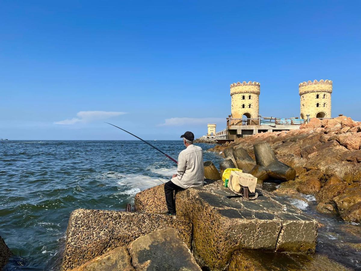 Alexandria attractions — photo 3