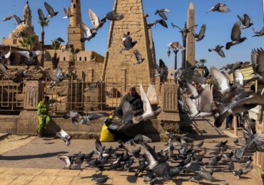 Cairo to Luxor — Karnak Temple &; Luxor Temples — picture 4