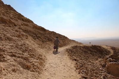 Day trip to Wadi Natrun — picture 1