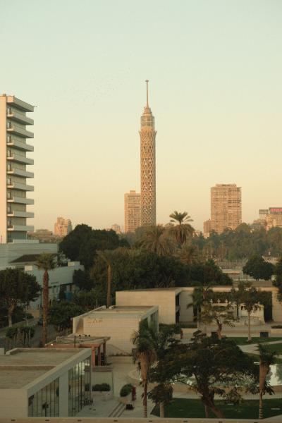 Fly Back to Cairo — picture 3