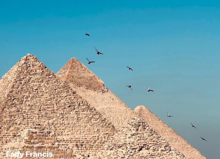 Egypt Vacation Packages: Your Complete Guide to Planning the Perfect Egyptian Holiday