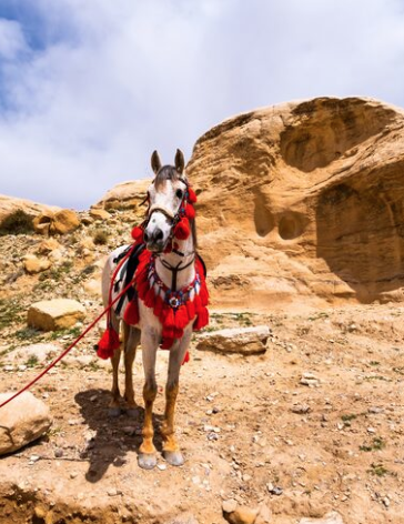 Valley of the Kings Tour