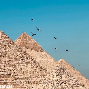 Egypt Vacation Packages: Your Complete Guide to Planning the Perfect Egyptian Holiday